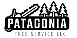 Patagonia Tree Kc logo