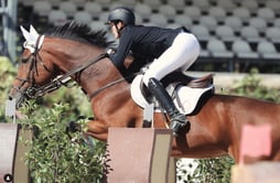 Equitazione salto ostacoli