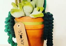ravissante succulente au crochet