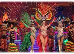 a group of dancers performing in a show 