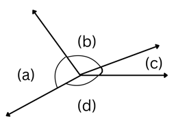 NAPLAN YEAR 3 Angles