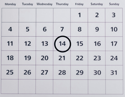 NAPLAN YEAR 3 Calendar