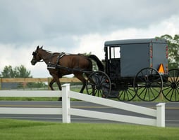 amish buggy