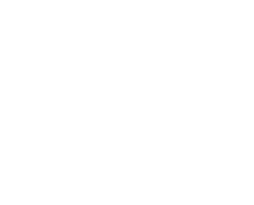 logo aloha surf