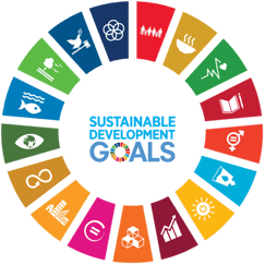 SDG_Wheel