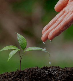 água pura para a terra