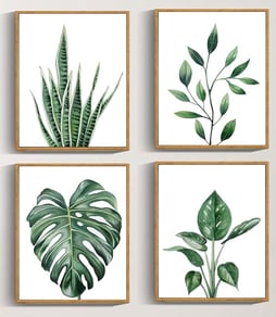 a set of four framed prints of tropical plants