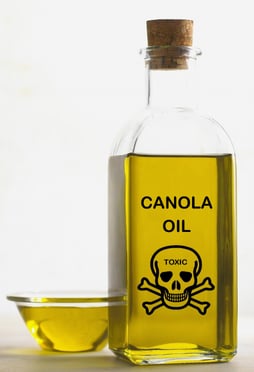 The deadly Canola oil dangers explained