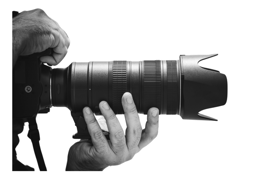 contenu site web vendee