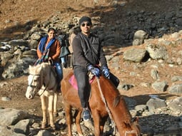 a man riding a horse in the mountains