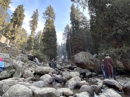 a person standing on a rocky river bank