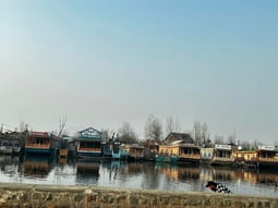group of houseboats and shikara on lake in srinagar