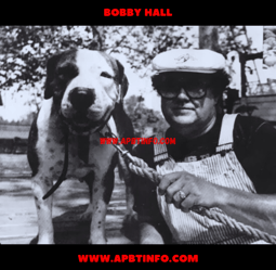 BOBBY HALL APBT HISTORY GAMEDOGS