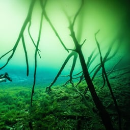 cenote underwater photography example