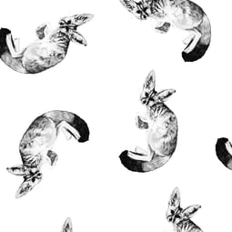 Lapiukas w pattern design