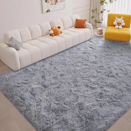 a large rug rug 