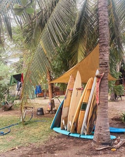 Surfboards lined up on the beach of El Paredón, Guatemala.