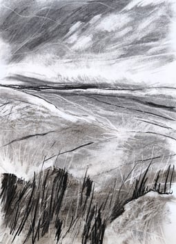 Paysage imaginaire 200525 - Fusain sur papier - 65X50 - 2025
