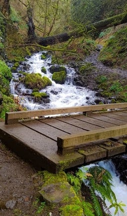 Columbia River Gorge Oregon - cross a footbridge over the creek to Wahkeena Falls viewpoint