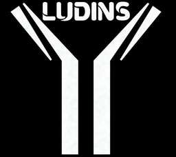 Ludins logo