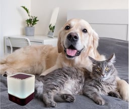 Pet Acoustics Pet Tunes Calming Music Device