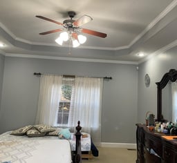 a bedroom with a ceiling fan and a ceiling fan