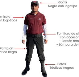 Perfil Elemento Seguridad Patrimonial SEMA