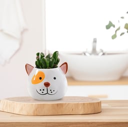 Dog shape ceramic pot