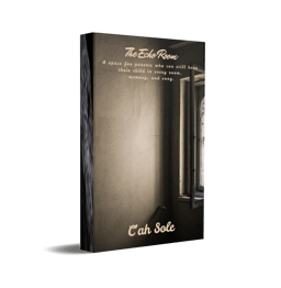 The Echo Room ebook cover by C'ah Sole with image of gloomy room with window