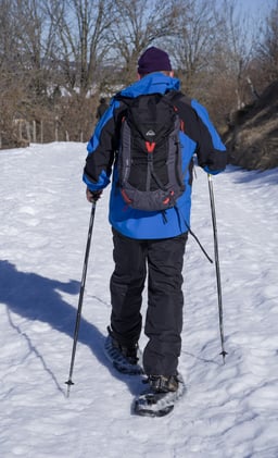 persona con chaqueta azul en la nieve