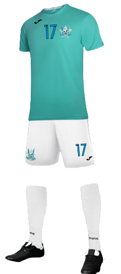 Masuria Iława 2013-2015