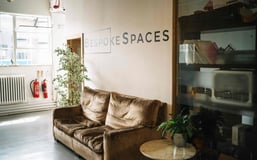 a couch in a room with a plant in the background