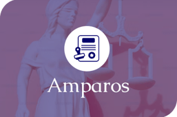 Amparo Legal