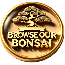 link to browse our bonsai