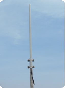 Omni Directional Antenna 890 - 960 MHz for wireless communication