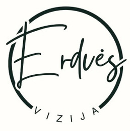 Erdvės vizija logo