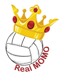 Real MOMO logo