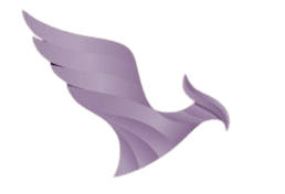 Live-Shuffle Creations logo