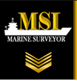 INDEPENDENT MARINE SURVEYOR logo