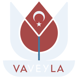 Vaveyla logo