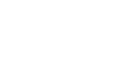 Force X logo