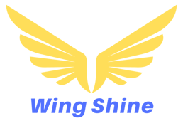 Wing Shine Consulting Limited logo