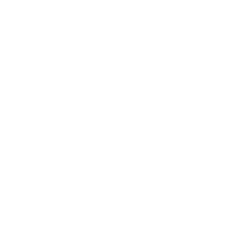 Vintage Expressions Rentals logo