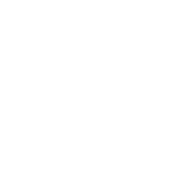 CHIC NUTRIX Lietuva logo