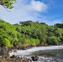Onomea bay trail