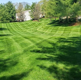 rolling hills on lawn