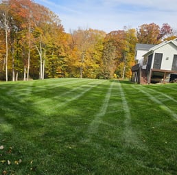 Fall mowing