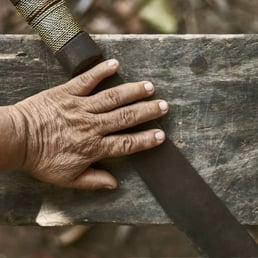 Diamantina's machete, member of Sumimi Restaurant. Três Unidos Village; Manaus/AM, Brazil - 2016.