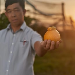 Roberto Furuya. São Miguel Arcanjo/SP, Brazil - 2018.