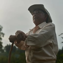 Cláudio Mitsuiki. São Miguel Arcanjo/SP, Brazil - 2018.